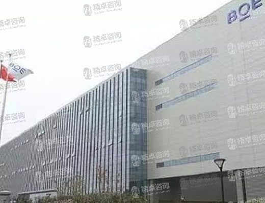 重庆京东方显示照明有限公司5S管理咨询